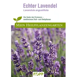 Echter Lavendel - Mein Heilpflanzengarten