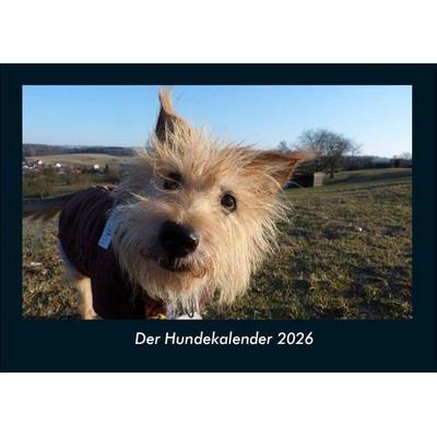Der Hundekalender 2026 Fotokalender DIN A4