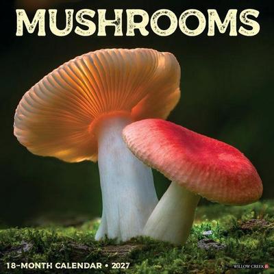 Mushrooms 2027 12 X 12 Wall Calendar
