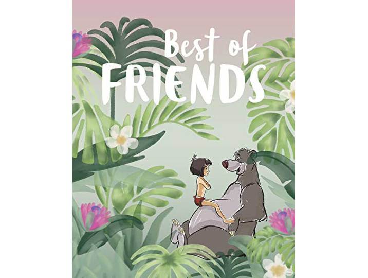 Komar Poster d'Art Mural\, 40cm x 50cm\, Jungle Book Best of Friends