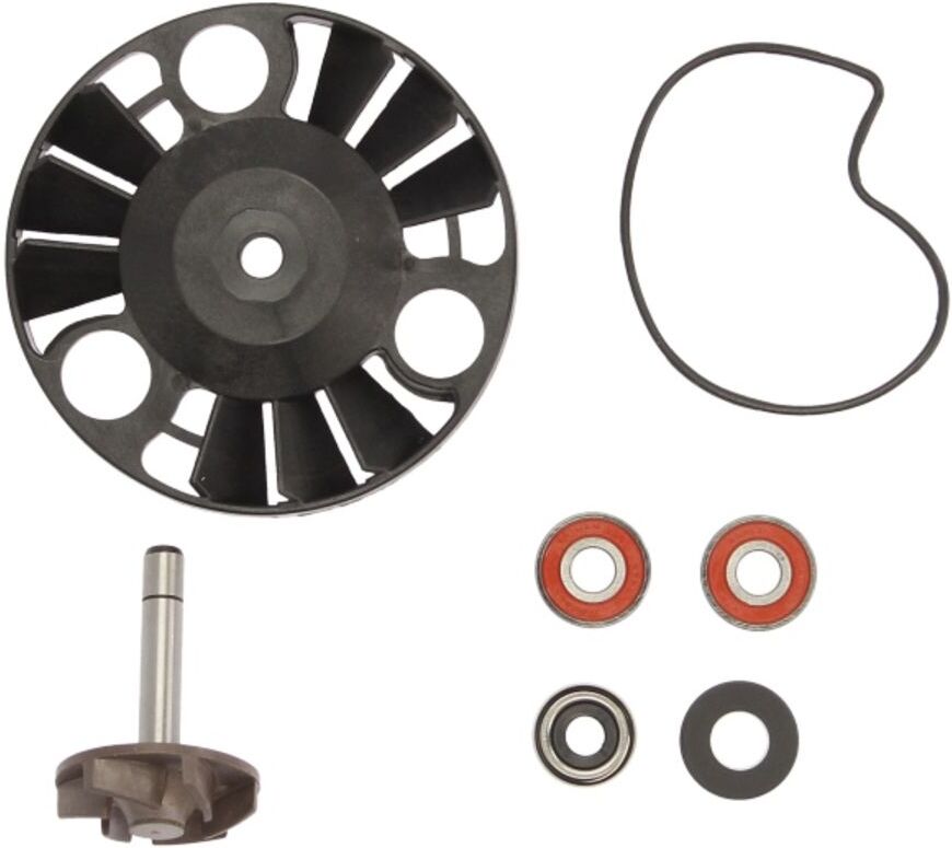 Kit de réparation, pompe à eau RMS 10 011 0070