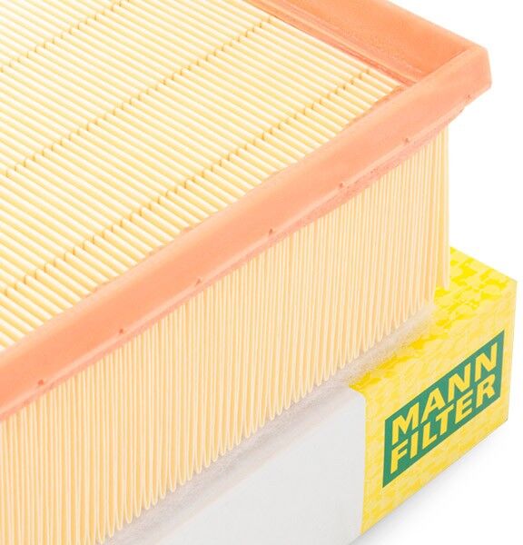 MANN-FILTER C 2295/4 Air filter