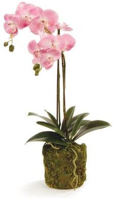 Porch & Petal "Phalaenopsis Orchid Drop-In 23"" - Pink"