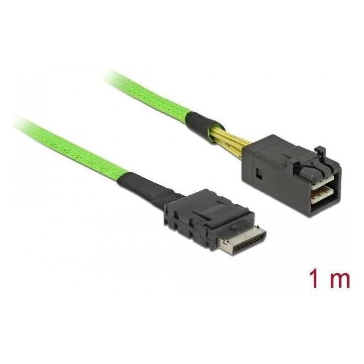 Delock Internes SAS-Kabel (100 cm, SAS) (85851)
