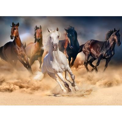 Fototapete PAPERMOON "Horse Herd in Gallop", bunt, B:3m L:2,23m, Vlies, Tapeten