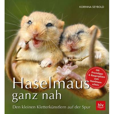 Haselmaus ganz nah, Gebundene Ausgabe von Korinna Seybold, Blv, 978-3-8354-1788-5
