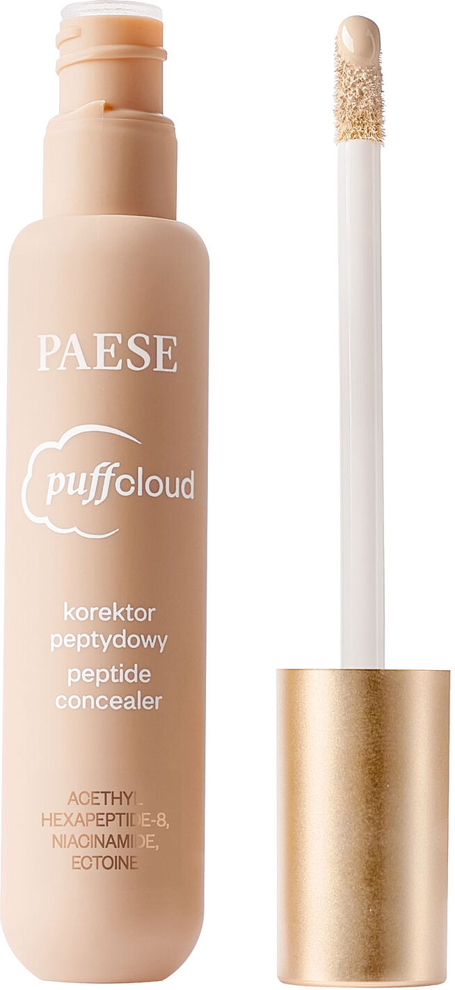 PAESE Puff Cloud Peptide Concealer No.01N Light Beige 7ml