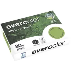 Clairefontaine Farbiges Recyclingpapier »Evercolor« - Intensivfarben grün