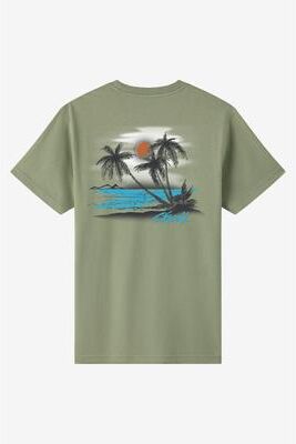 O'Neill s Tropics Classic T-Shirt in Sage, Size Medium