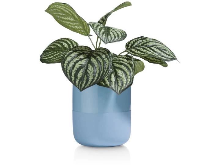 Coco Maison Peperomia Bush Kunstblume H30cm
