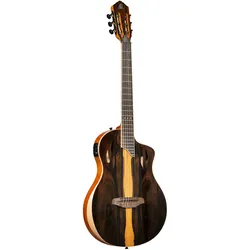 Ortega TourPlayer RTP-LTD - Konzertgitarre