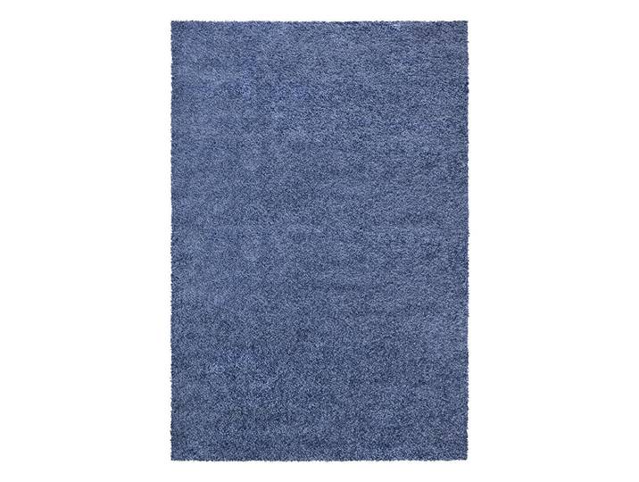Shaggy Arya, Blau, Uni, rechteckig, 120x170 cm, Teppiche und Böden, Teppiche, Hochflorteppiche & Shaggys