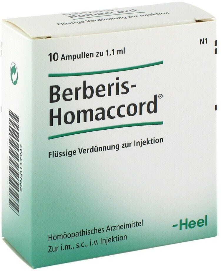 Berberis Homaccord Ampullen