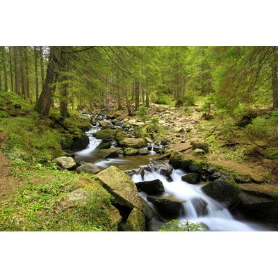 Fototapete PAPERMOON "Mountain River", bunt, B:4m L:2,6m, Vlies, Tapeten
