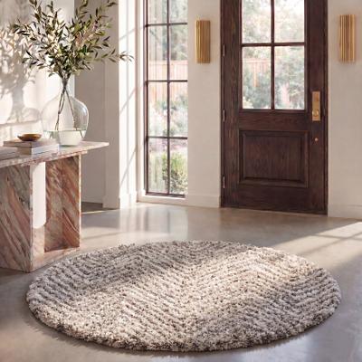 SAFAVIEH Hudson Shag Gulja 2-inch Thick Rug
