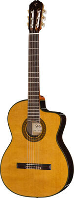 Takamine EC132SC w/Softcase Natur Hochglanz