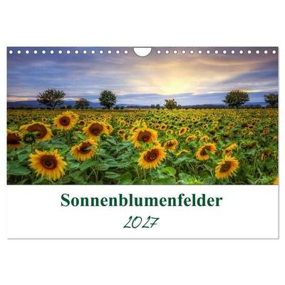 Sonnenblumenfelder (Wandkalender 2027 DIN A4 quer), CALVENDO Monatskalender