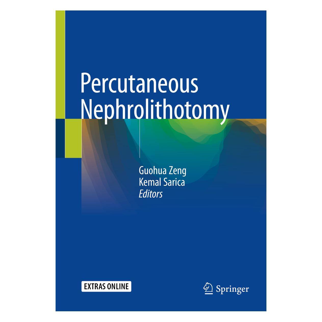 Springer Percutaneous Nephrolithotomy (Englisch, Softcover, Guohua Zeng, Kemal Sarica) (56179086)