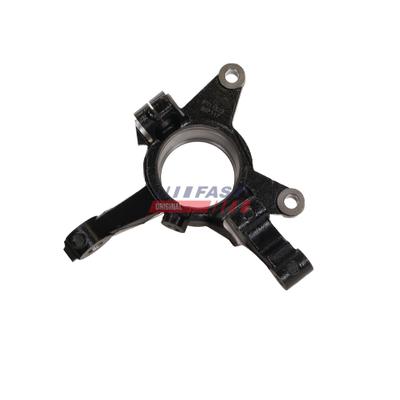 FAST FT11823 für Fiat