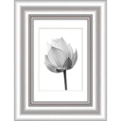 Bilderrahmen ELEGANCE silber (BH 24x19 cm) - BH 24x19 cm