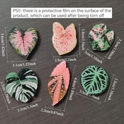 Uplifted Finds 6pcs Begonia Monstera Magnetic Refrigerator Magnets Tropical Plants 6pcs Summer