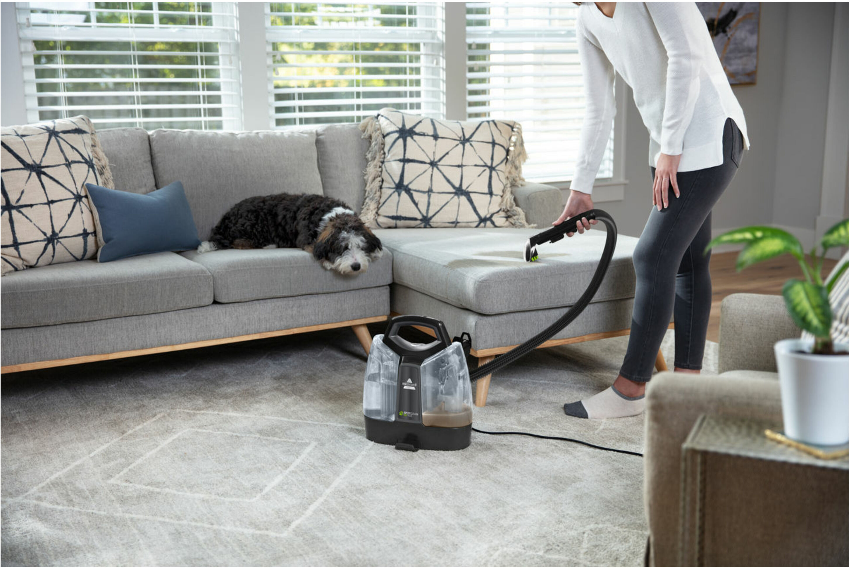 Bissell Teppich- und Polsterreinigungsgerät »SpotClean Pet Plus«