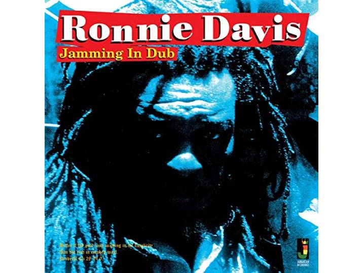 Ronnie Davis - Jamming In Dub