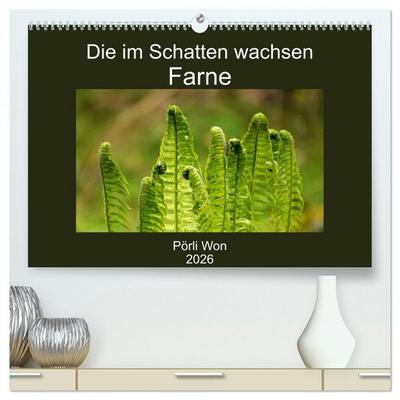 Die im Schatten wachsen - Farne (hochwertiger Premium Wandkalender 2026 DIN A2 quer), Kunstdruck in Hochglanz