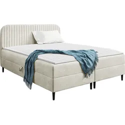 BOXBETT Box Best 1 - H3