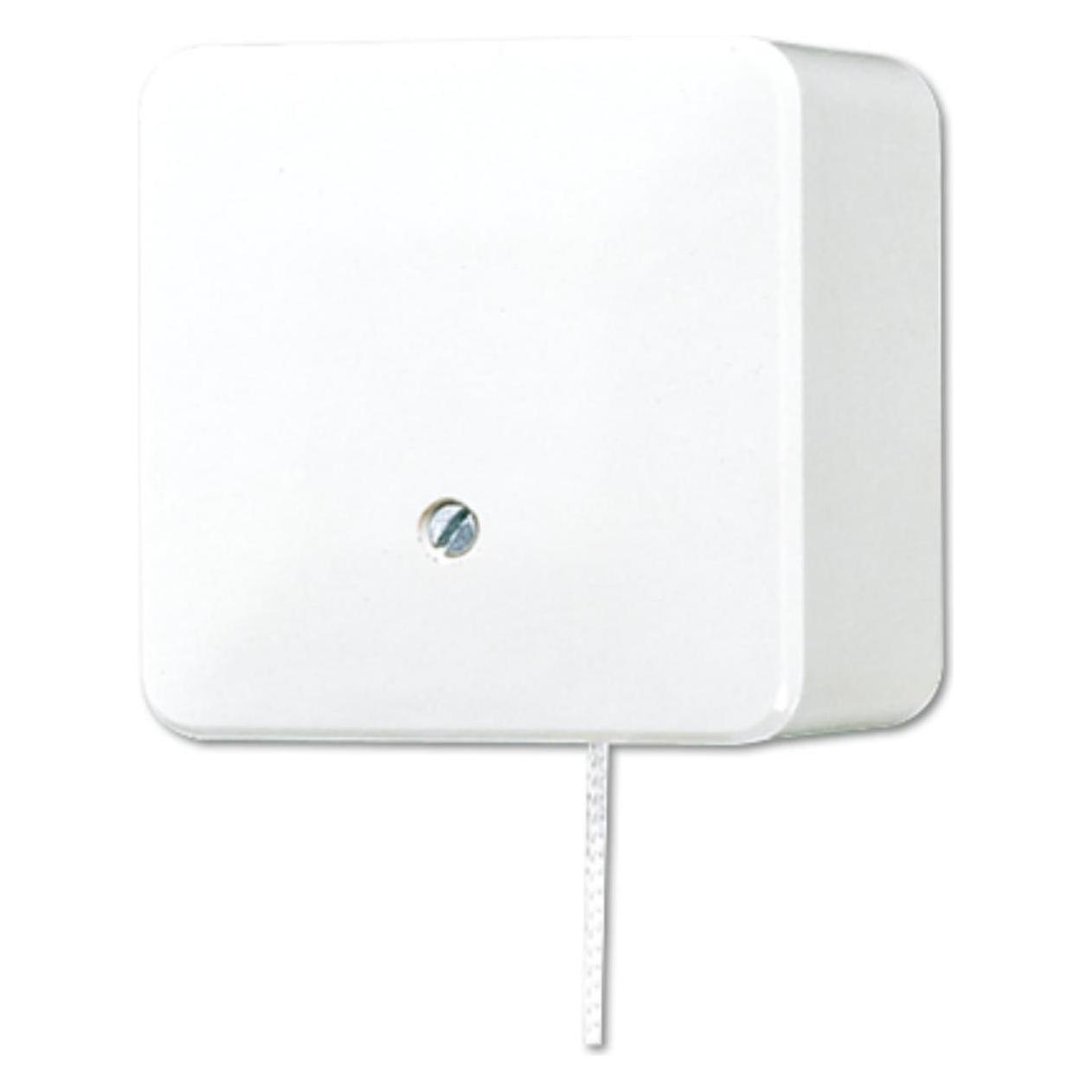 JUNG Zugschalter aws glz AP 600 Zugschnur AP 606ZAWW (606ZAWW)