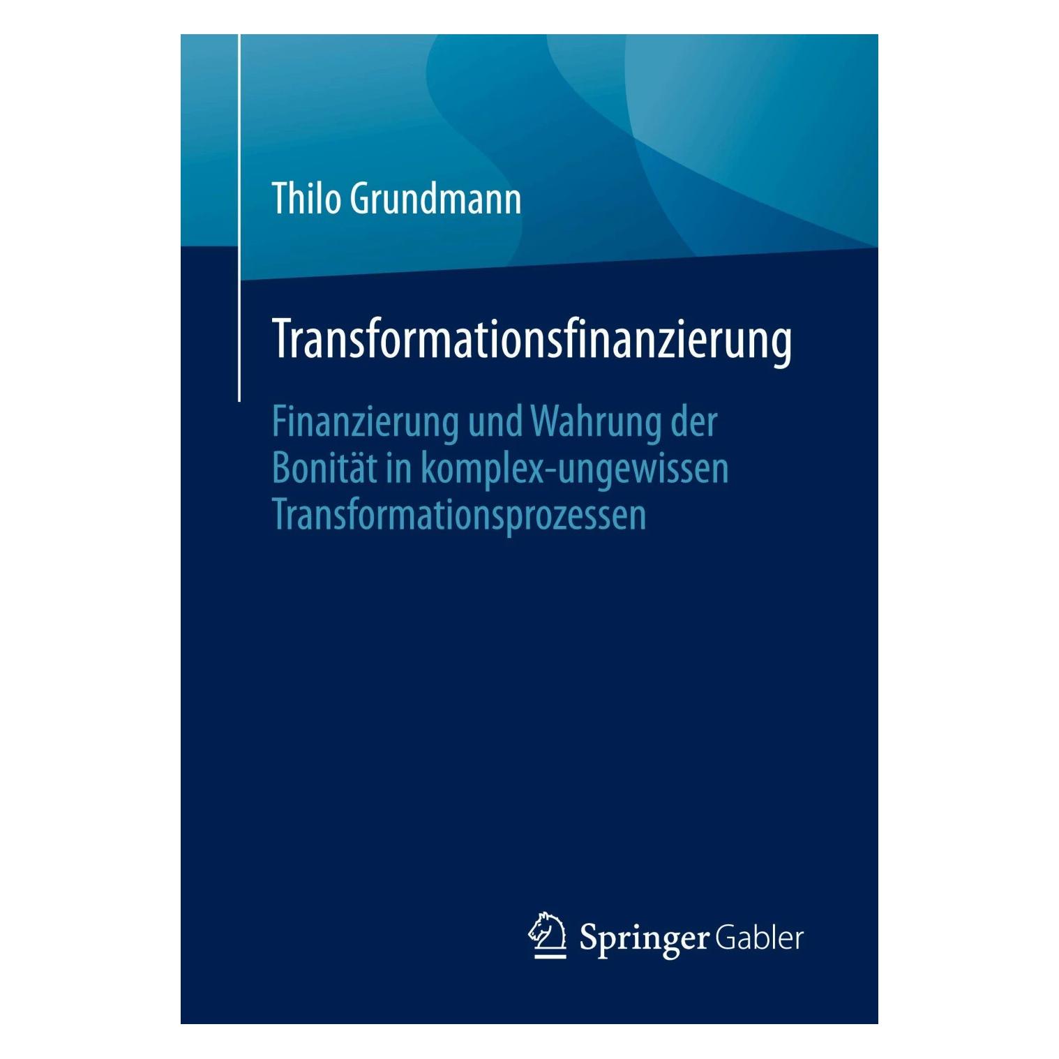 Springer Thilo Grundmann (Deutsch, Softcover, Thilo Grundmann) (39359722)