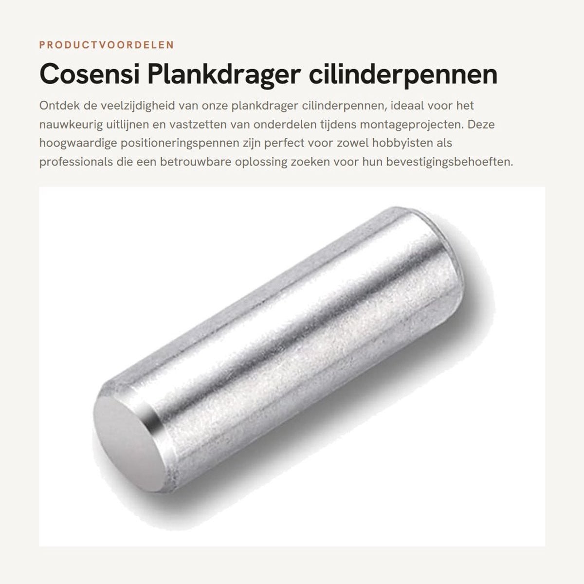 Dailygoods Plankdrager Cilinderpen - Roestvrij Staal - Positioneringspen
