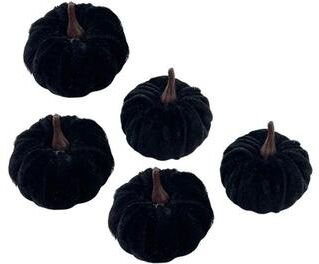 Inspired Living Autumn Charm 5 Piece Mini Artificial Pumpkin Decorations Set For Halloween And Fall black
