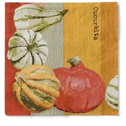 Sovie HORECA Serviette Britta in terrakotta aus Tissue 40 x 40 cm, 100 Stück - Struktur Kürbis Herbst