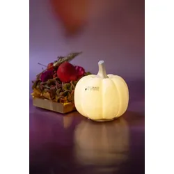 Kürbis Pastazo-Doria rund 11cm LED Porzellan