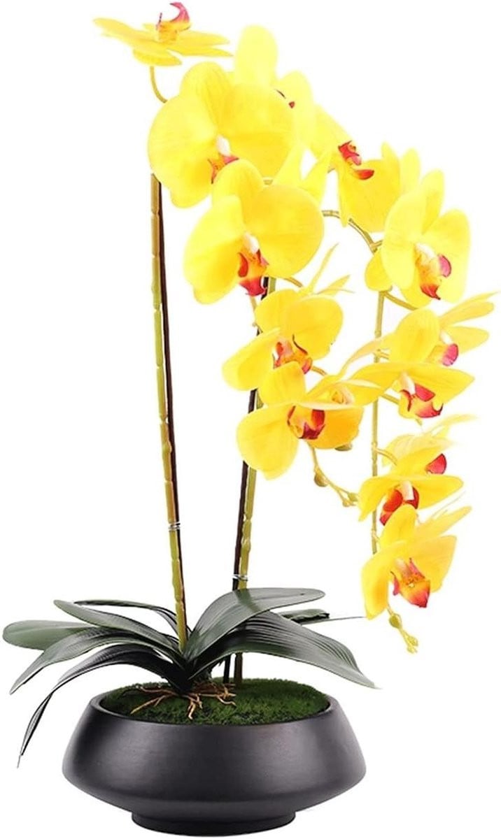 Gele Nep Orchidee Bonsai - Realistische Zijden Kunstbloem voor Huisdecoratie - Tot 50 cm hoog