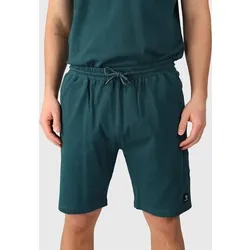 BRUNOTTI Herren Bermuda Shiptern Men Walkshorts, Größe M in Blau Blau