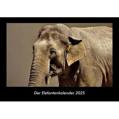 Der Elefantenkalender 2025 Fotokalender DIN A3