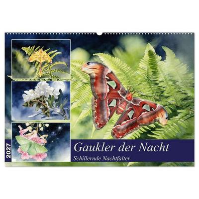 Gaukler der Nacht - Schillernde Nachtfalter (Wandkalender 2027 DIN A2 quer), CALVENDO Monatskalender
