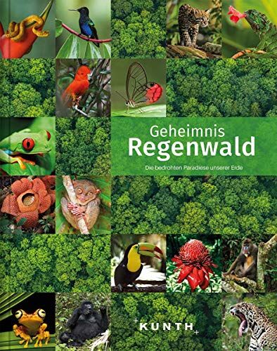 Kunth Verlag - Geheimnis Regenwald: Die bedrohten Paradiese unserer Erde (KUNTH Bildband: Nachschlagewerke) - Preis vom 10.10.2026 11:48:34 h