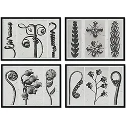POSTER Set mit 4 von CurlBlättern Blumen und Pflanzen in Grausteinen A4 Rahmenlos