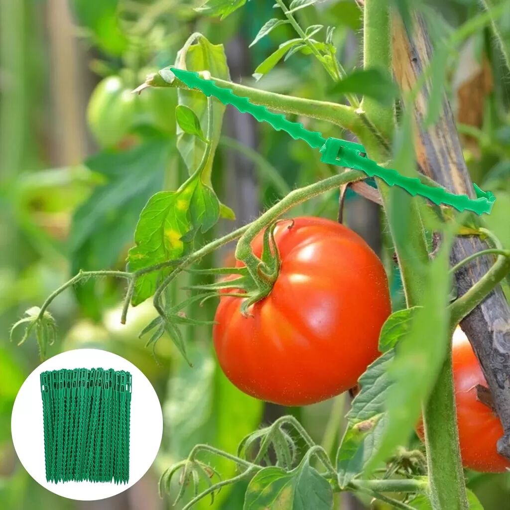 INF 50 Packungen 11 cm Pflanzenbinder für den Garten, Bündelbinder, Kabelbinder mit Drehverschluss für Kletterpflanzen