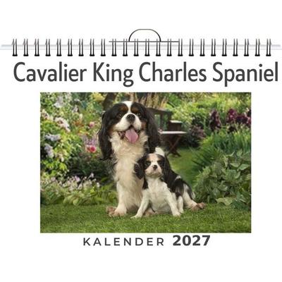 Cavalier King Charles Spaniel