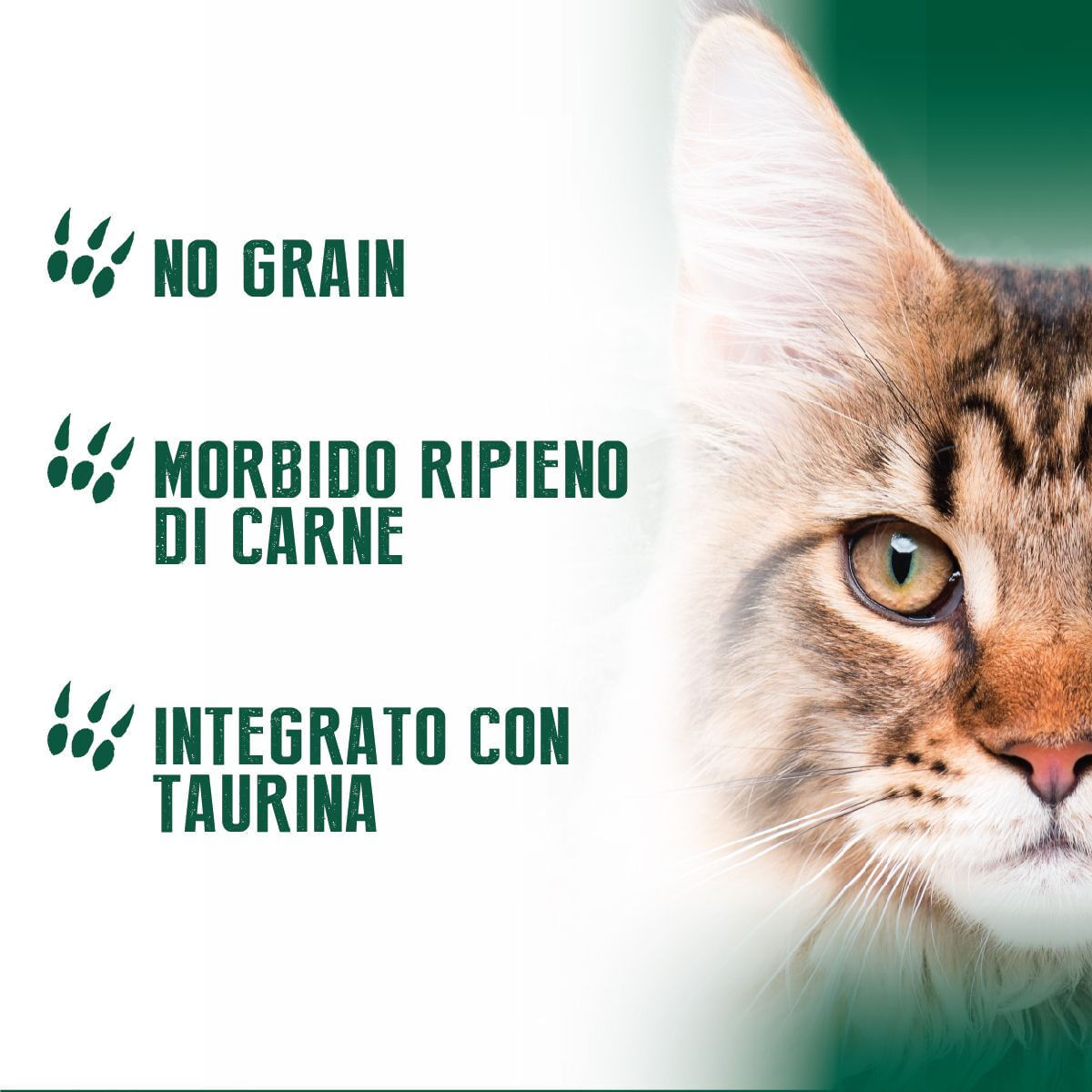 Virtus Original Snack Cat Soft Bites 10G POLLO CON TONNO