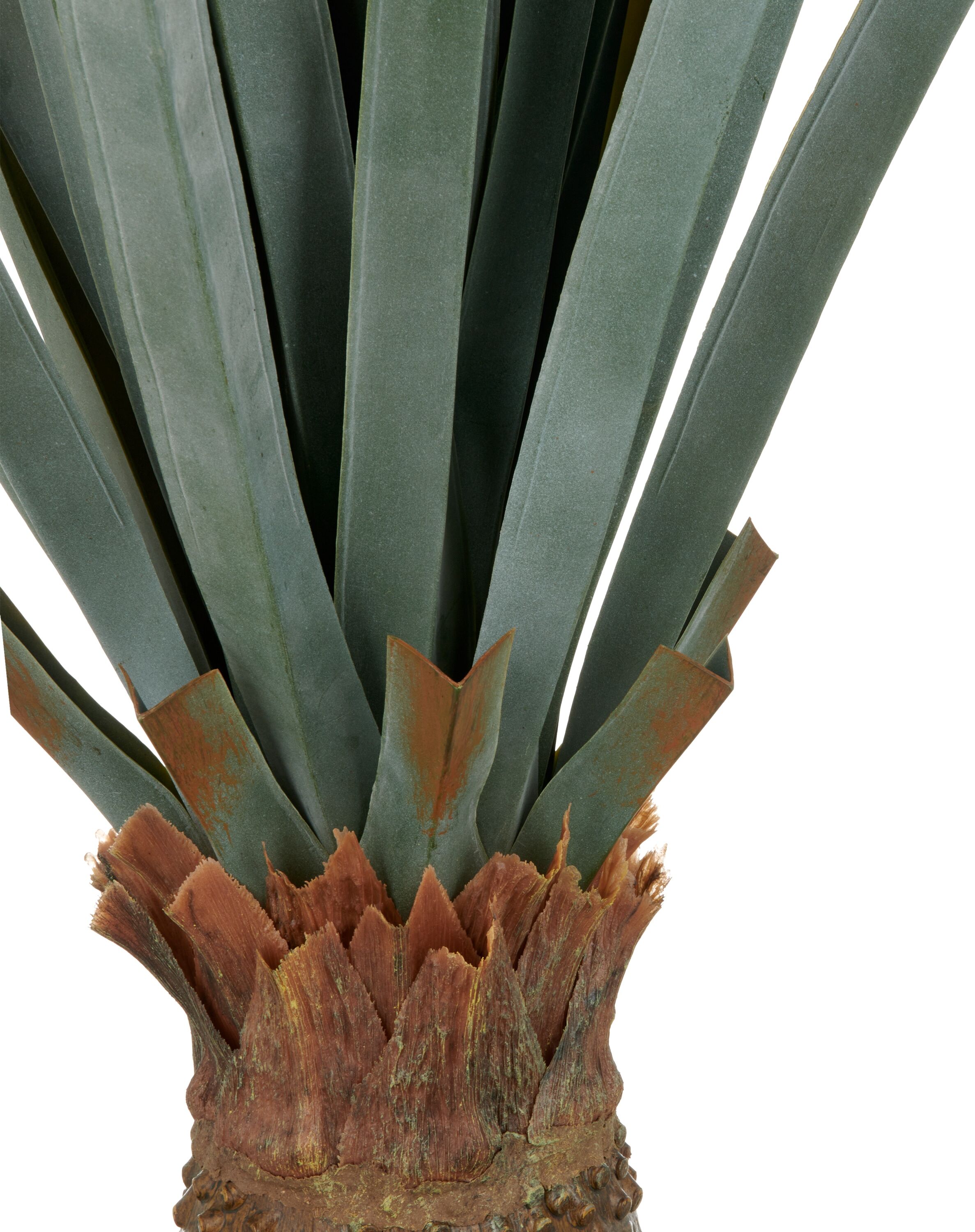 Kunstpflanze CREATIV GREEN "Agave angustifolia", grün (grün, grau), H:140cm, Kunststoff, Kunstpflanzen, Kunstpflanze, in beeindruckender Größe