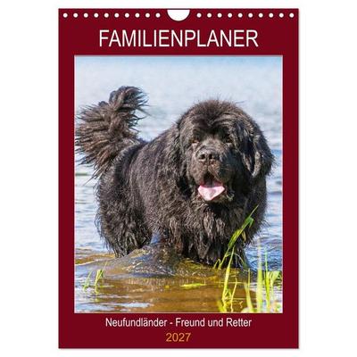 Familienplaner Neufundländer - Freund und Retter (Wandkalender 2027 DIN A4 hoch), CALVENDO Monatskalender