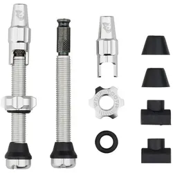 Wolf Tooth Tubeless Valve Stem Ventile, Clik Valve, 44mm, 2 Stk., raw silver