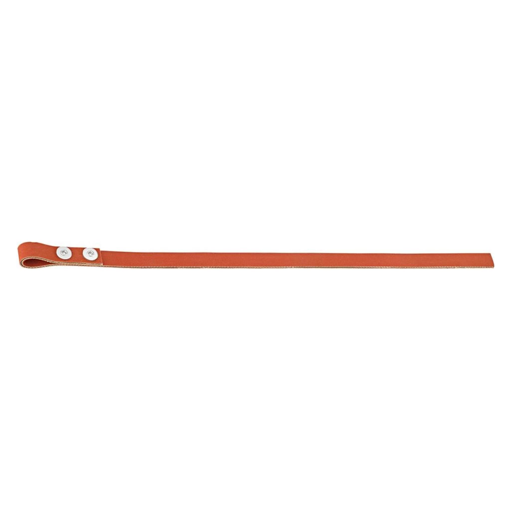 Magni Band für Bandschüssel 225mm FORTIS (4317784702126)