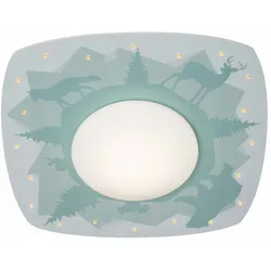 Elobra LED Deckenleuchte SCANDI ,,WALD" LED Platine + 20 LED, 11W, 3000K, mintgrün ELO-139554