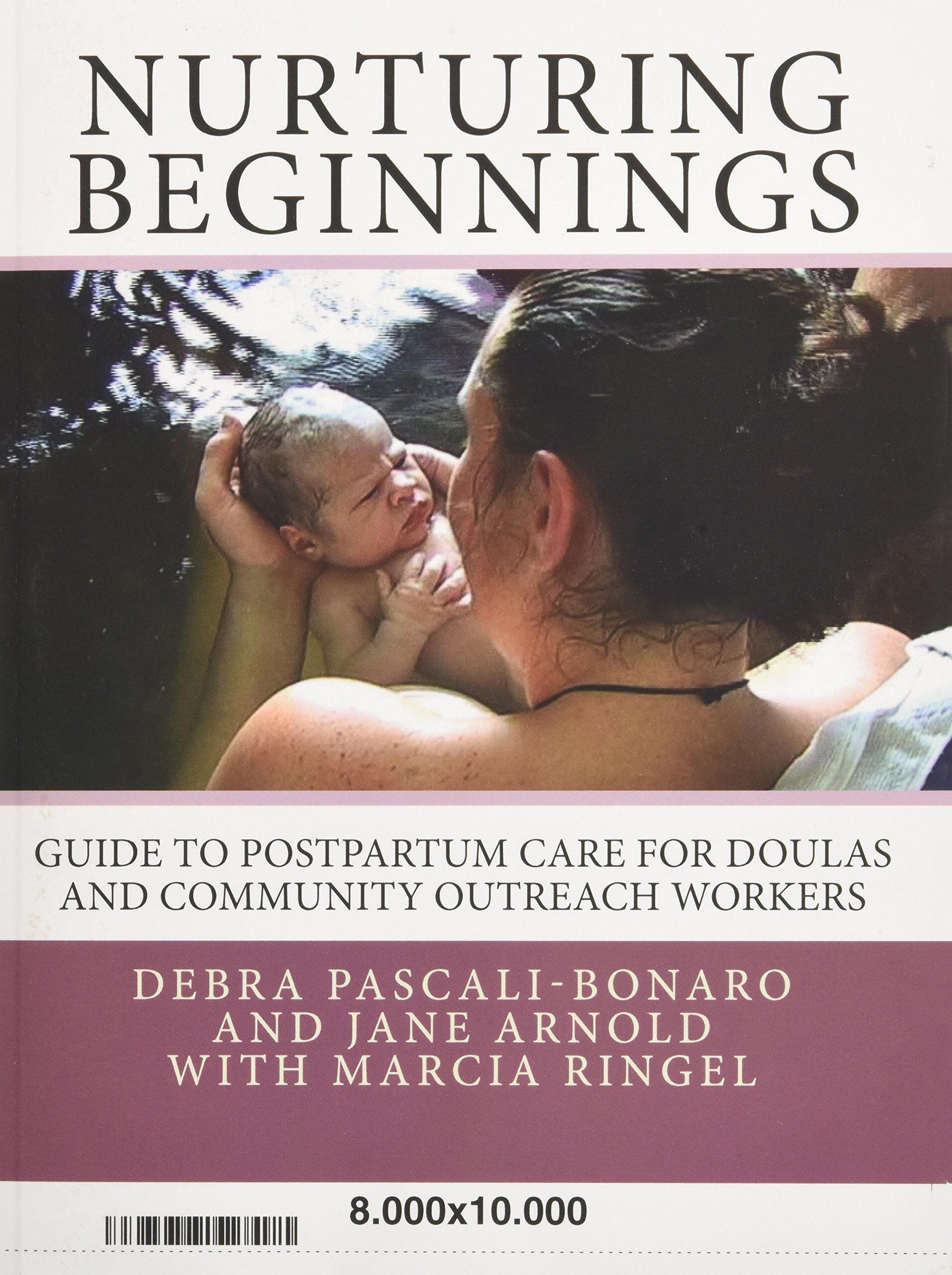 Debra Pascali-Bonaro - Nurturing Beginnings: Guide to Postpartum Care for Doulas and Community Outreach Workers - Preis vom 13.10.2026 11:25:28 h